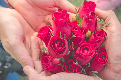 Close-up of hand holding rose bouquet