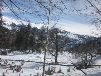 Scenic view of frozen trees against sky during winter