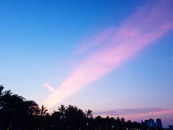 Low angle view of silhouette trees against blue sky at sunset