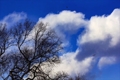 Low angle view of bare tree against cloudy sky