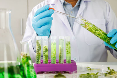 Midsection of scientist working in laboratory