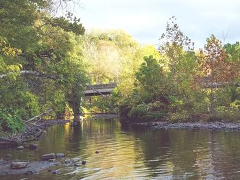 Bridge over river in forest against sky