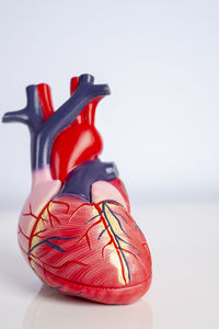 Close-up of heart model against white background