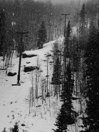 Scenic view of snow covered landscape