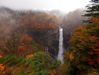 Scenic view of waterfall in forest during autumn