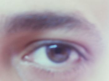 Extreme close up of human eye