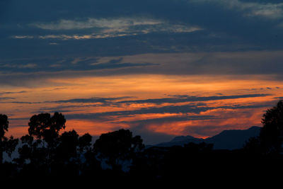 Silhouette trees against sky during sunset