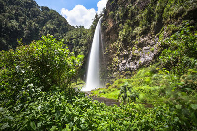 Condor machay waterfall and forest in sangolqui, ecuador