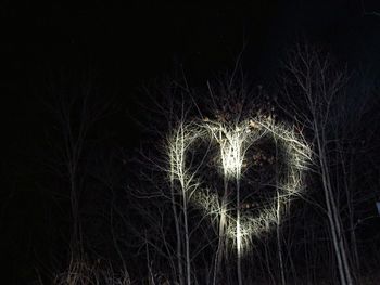 Close-up view of night