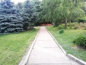 Footpath amidst grass and trees