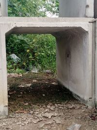 architecture