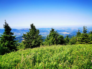 Scenic view of landscape against blue sky