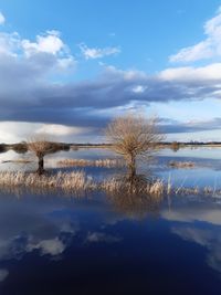 Scenic view of lake against sky