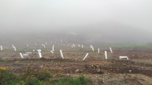 Scenic view of cemetery on field against sky