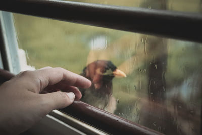 Cropped hand of man touching glass window