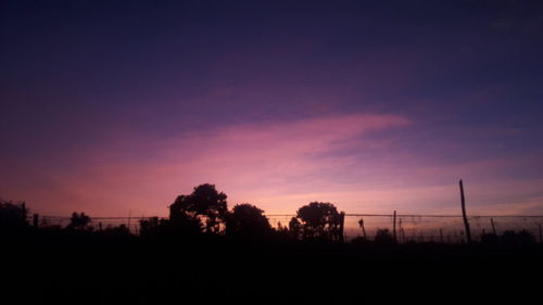 Silhouette trees against sky during sunset