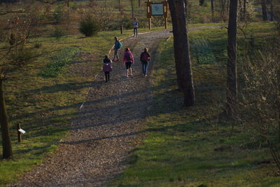 People walking in forest