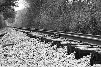 Railroad track in forest