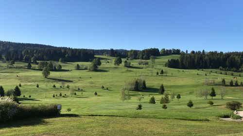 Scenic view of farm against clear blue sky