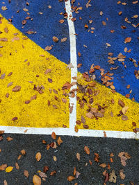 High angle view of yellow autumn leaves on road