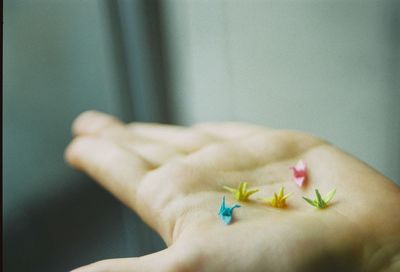 Close-up of hand holding yellow flower