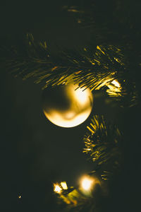 Low angle view of illuminated tree against sky at night