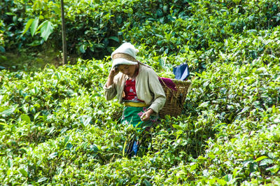 Woman working in farm