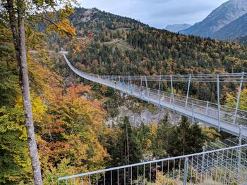 Bridge over road amidst trees during autumn