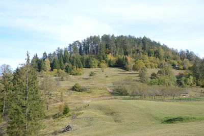 Scenic view of landscape against sky