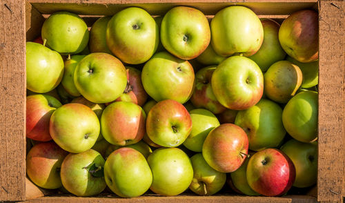 Directly above shot of apples on table