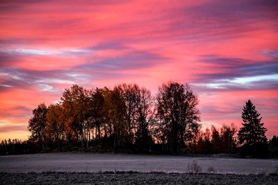 Silhouette trees on field against romantic sky at sunset