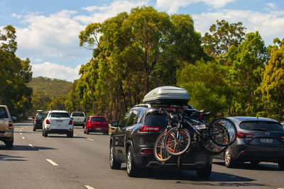 Cars on road against trees in city