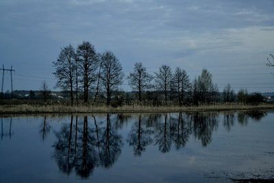 Reflection of trees in water
