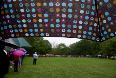 Rear view of people playing in park