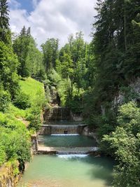 Scenic view of river amidst trees in forest against sky