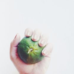 Cropped hand holding over white background