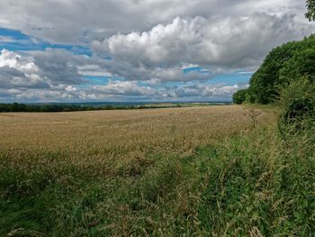 Scenic view of field against sky