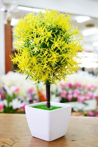 Close-up of yellow flower on table