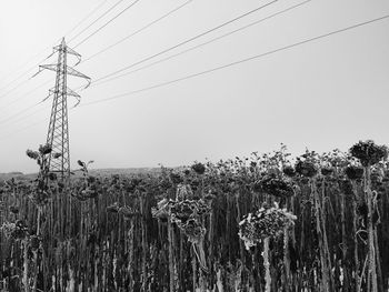 Low angle view of electricity pylon against clear sky