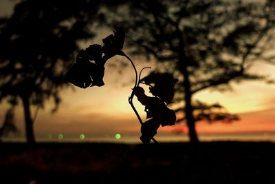 Close-up of silhouette man on field against sky