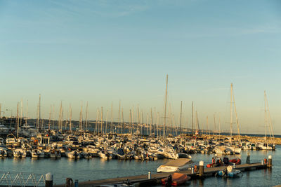 Sailboats moored at harbor against clear sky