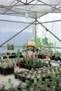 Portrait of boy in greenhouse