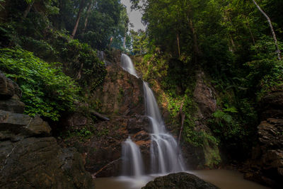 Scenic view of waterfall in forest