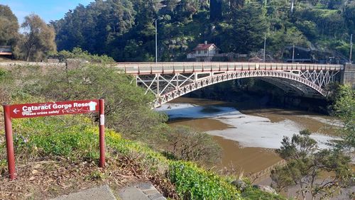 bridge