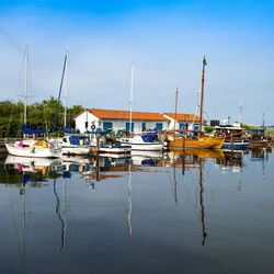 Sailboats moored at harbor against sky