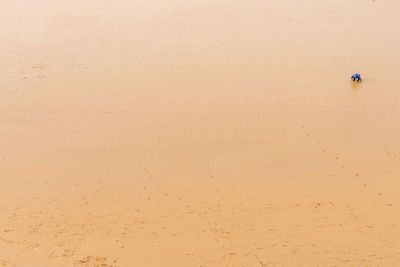 Full frame shot of sand dune