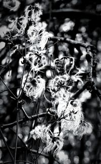 black and white