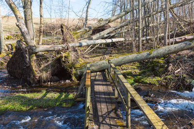 Wooden footbridge over river in forest