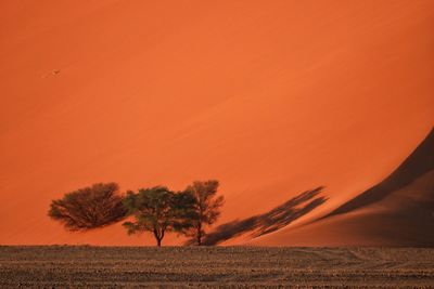 Full view of orange dune at sunset in desert
