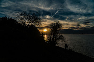 Silhouette trees on beach against sky at sunset